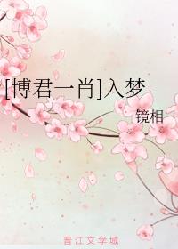 [博君一肖]入梦