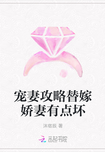 宠妻攻略替嫁娇妻有点坏