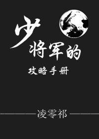 少将军的攻略手册