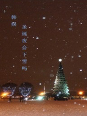 [韩娱]圣诞夜会下雪吗