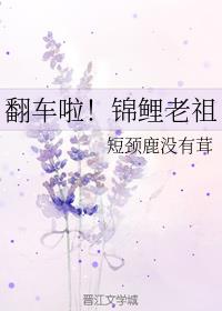 翻车啦！锦鲤老祖