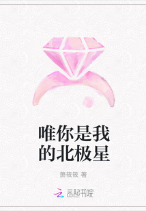 唯你是我的北极星