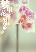 梦里花落知多少